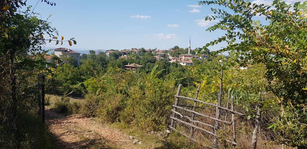 Saraydüzü Avluca Köyü Resimleri 7