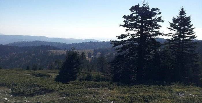 Saraydüzü Bahçeköy Köyü Resimleri 2