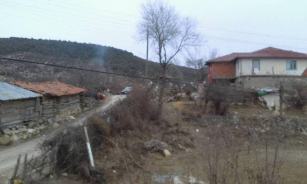 Saraydüzü Bahşaşlı Köyü Resimleri 1