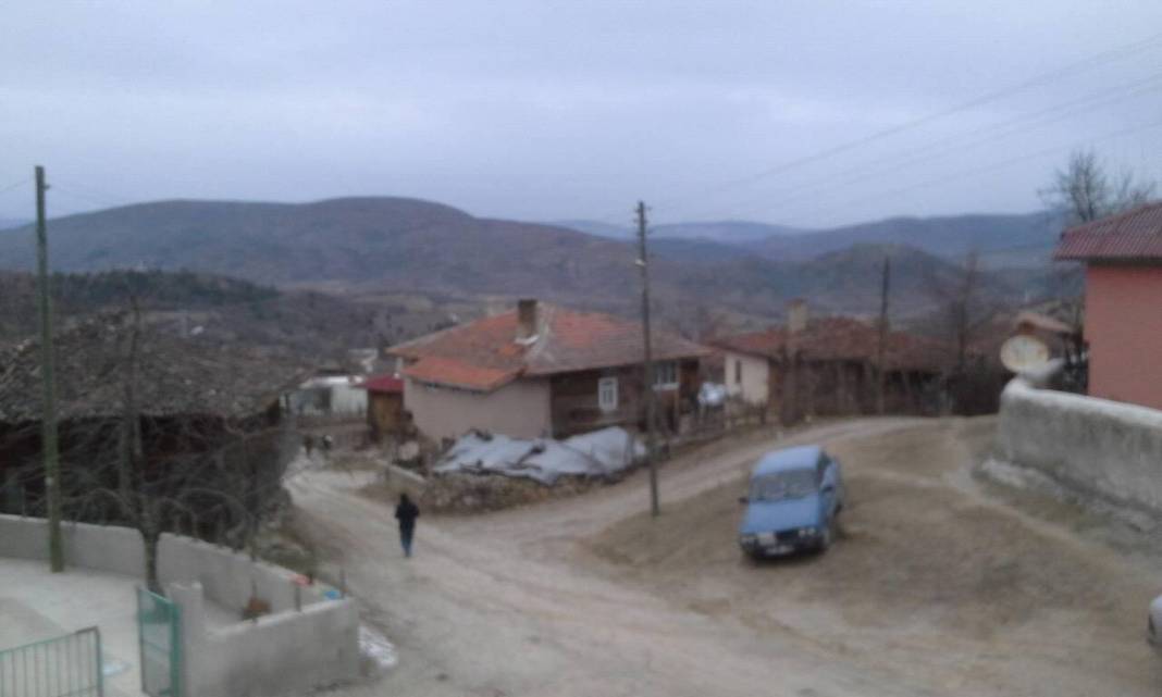 Saraydüzü Bahşaşlı Köyü Resimleri 2