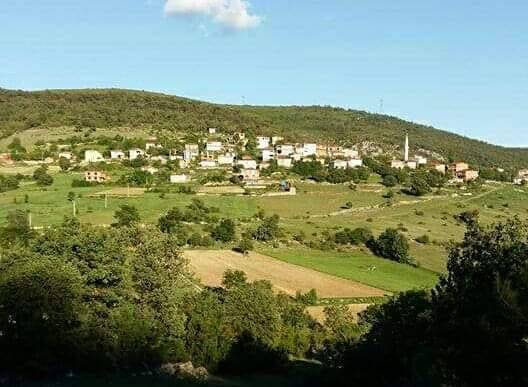 Saraydüzü Bahşaşlı Köyü Resimleri 3