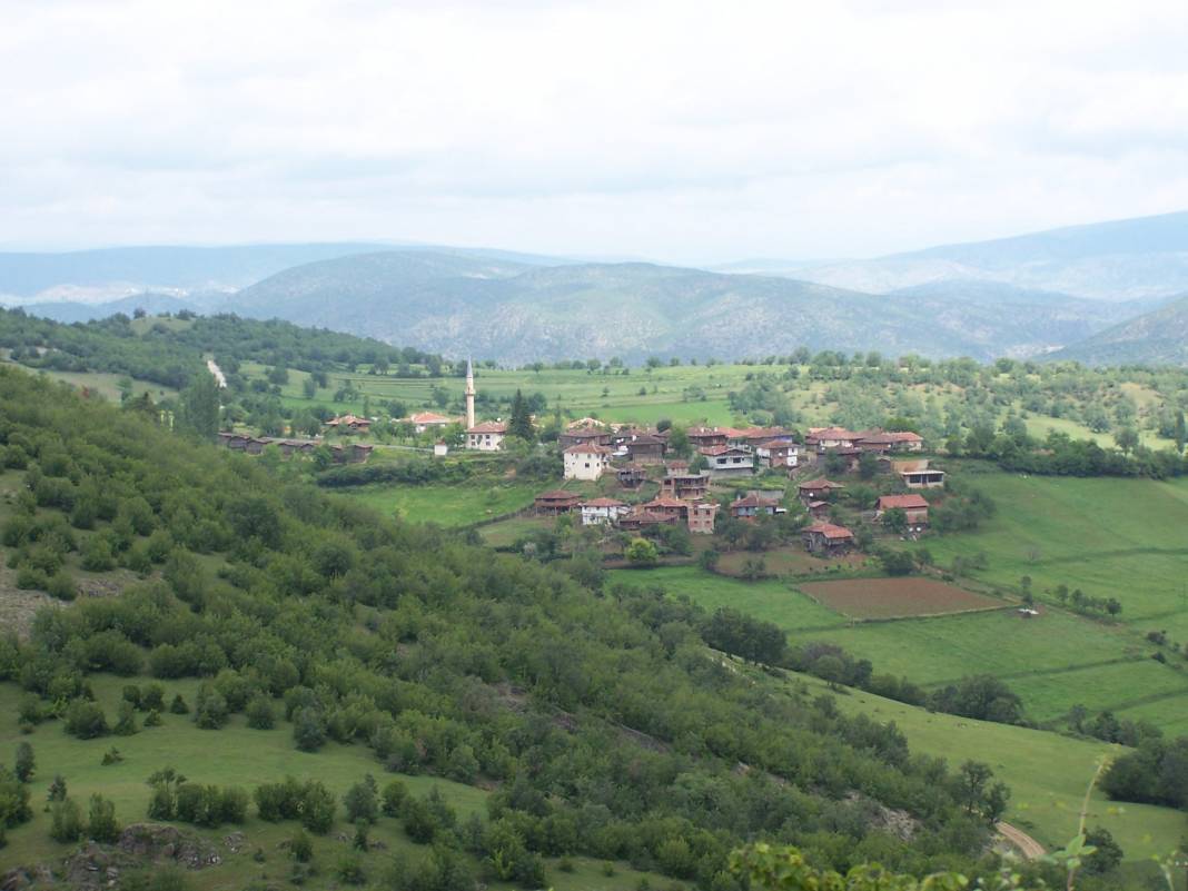 Saraydüzü Bahşaşlı Köyü Resimleri 4