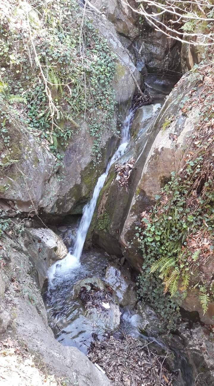 Saraydüzü Başekin Köyü Resimleri 12