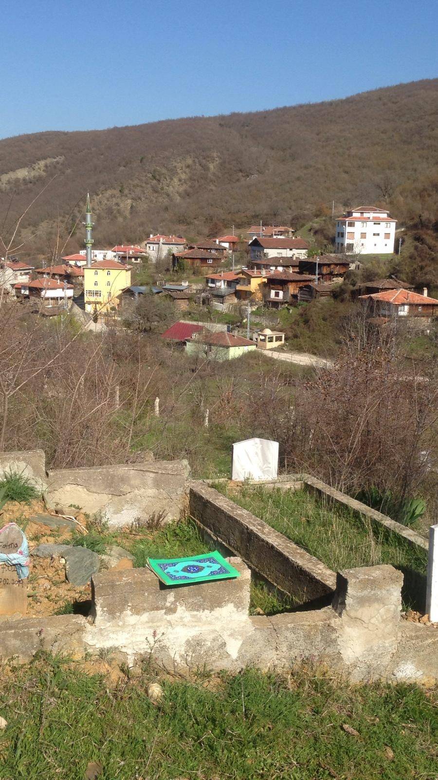 Saraydüzü Başekin Köyü Resimleri 13