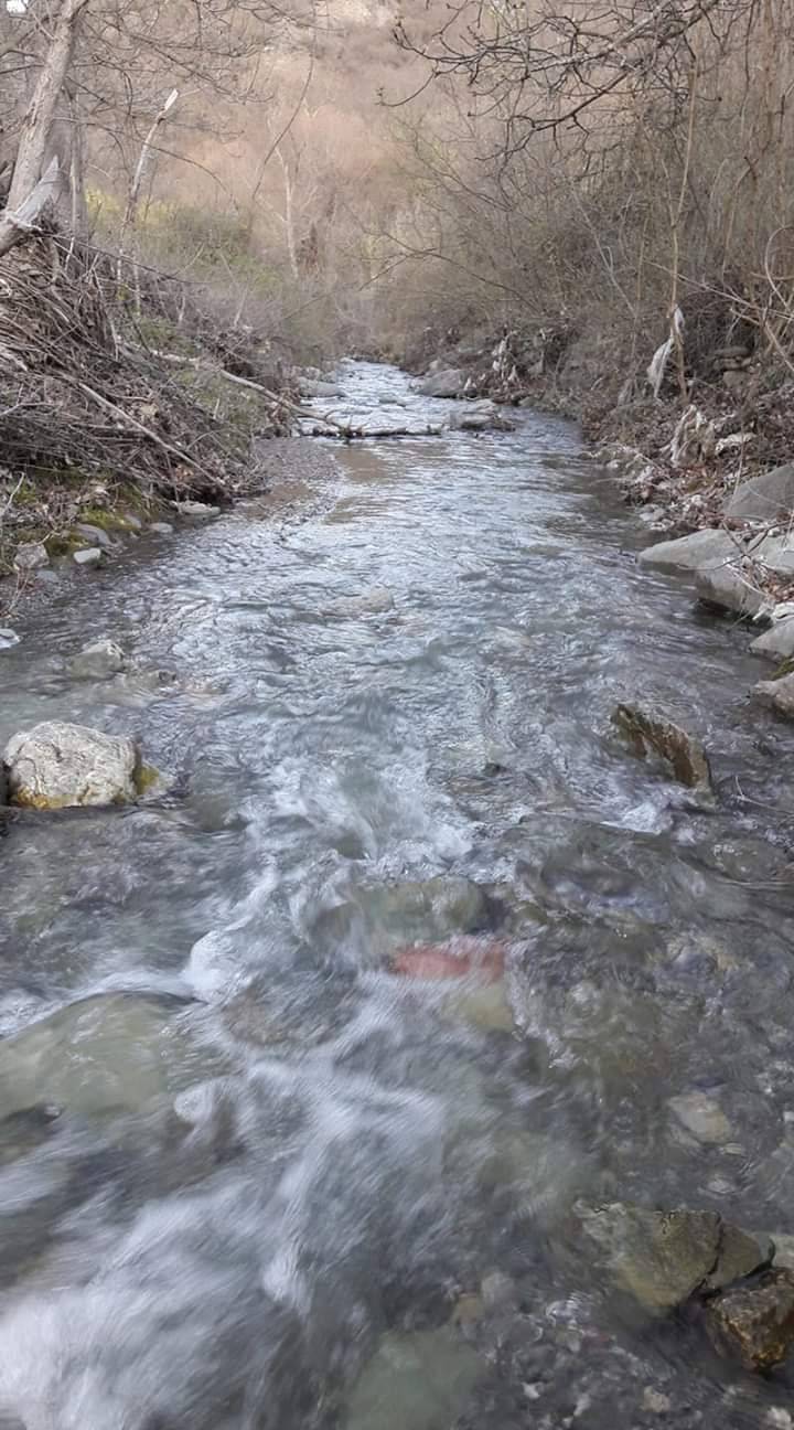 Saraydüzü Başekin Köyü Resimleri 14