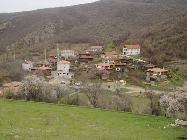 Saraydüzü Başekin Köyü Resimleri 15