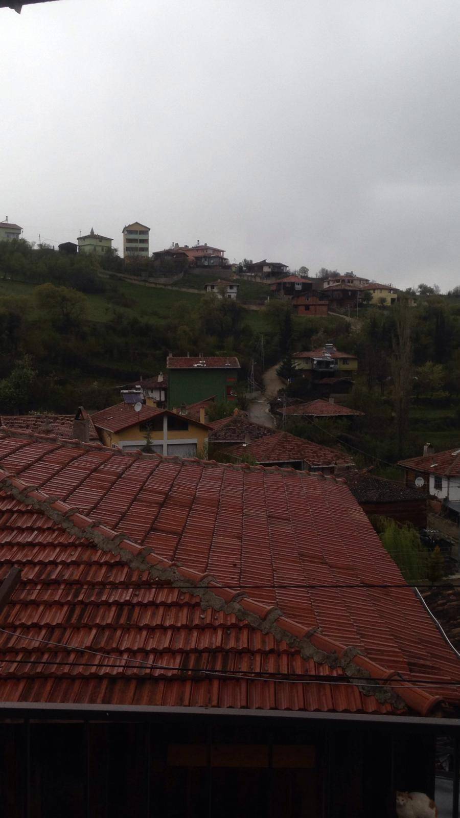 Saraydüzü Başekin Köyü Resimleri 3