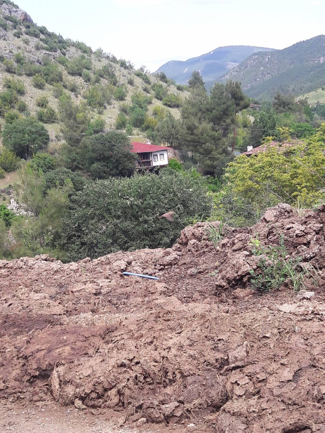 Saraydüzü Başekin Köyü Resimleri 5