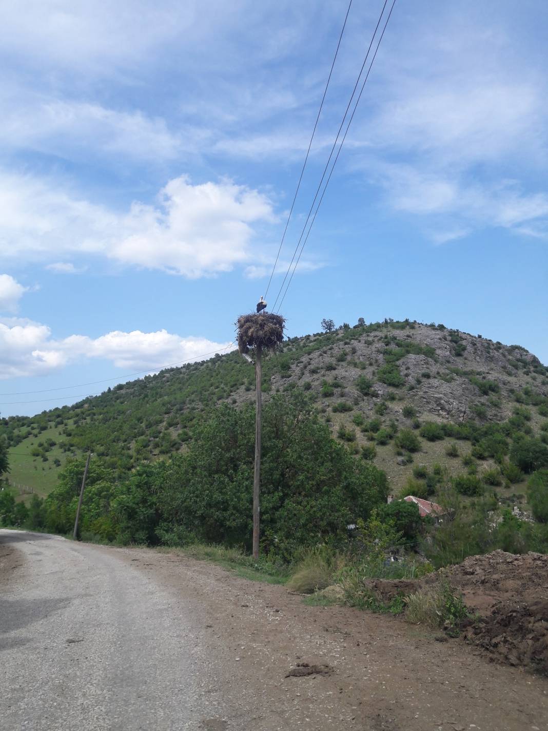 Saraydüzü Başekin Köyü Resimleri 8