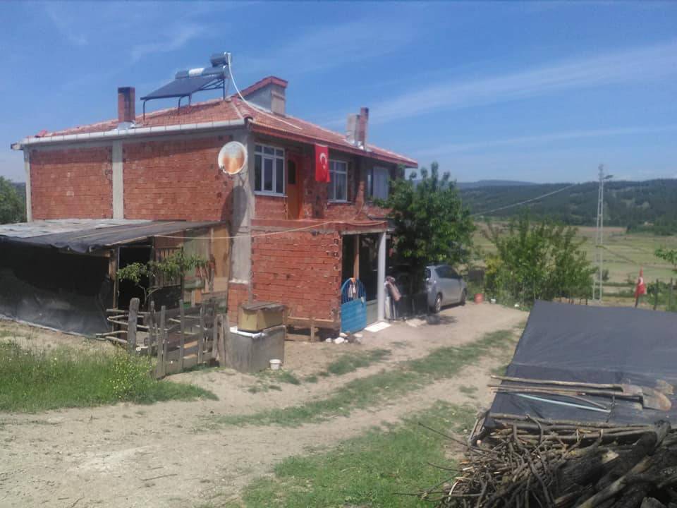 Saraydüzü Cumakayalı Köyü Resimleri 3