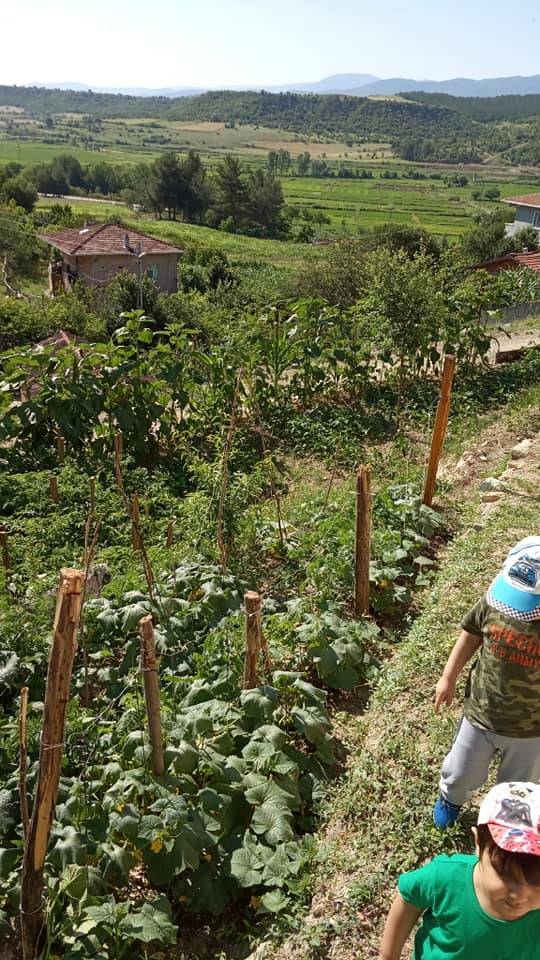 Saraydüzü Cumatabaklı Köyü Resimleri 4