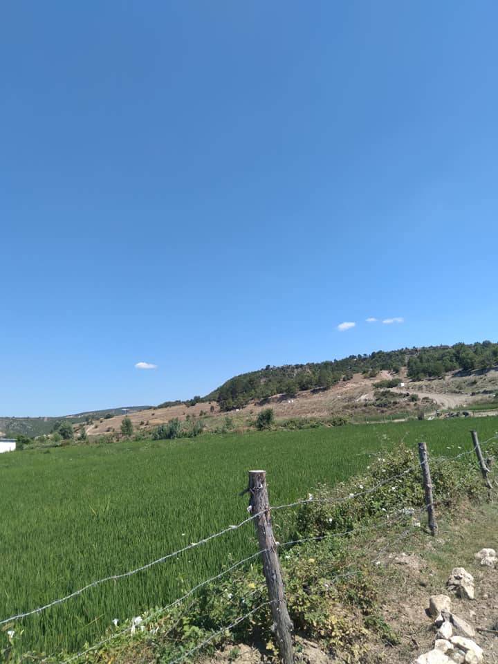 Saraydüzü Cumatabaklı Köyü Resimleri 5