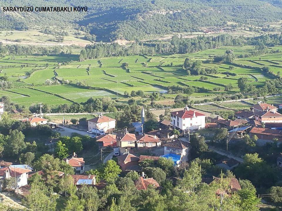 Saraydüzü Cumatabaklı Köyü Resimleri 6