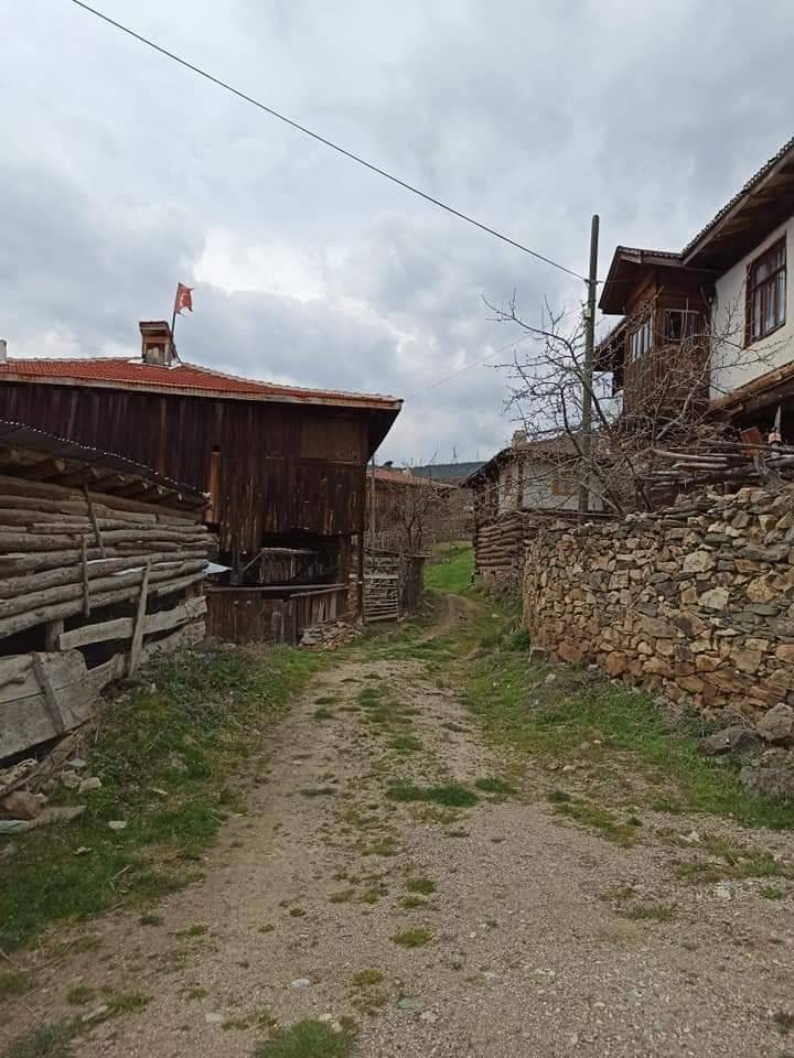 Saraydüzü Çalpınar Köyü Resimleri 3