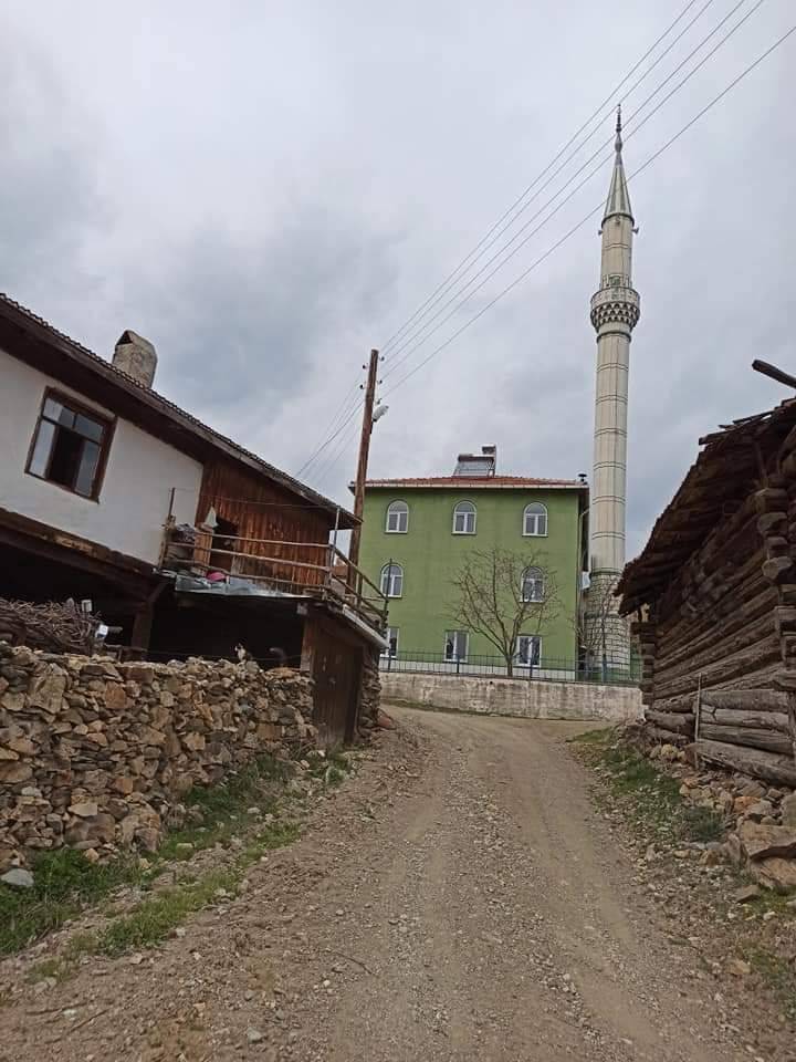 Saraydüzü Çalpınar Köyü Resimleri 6