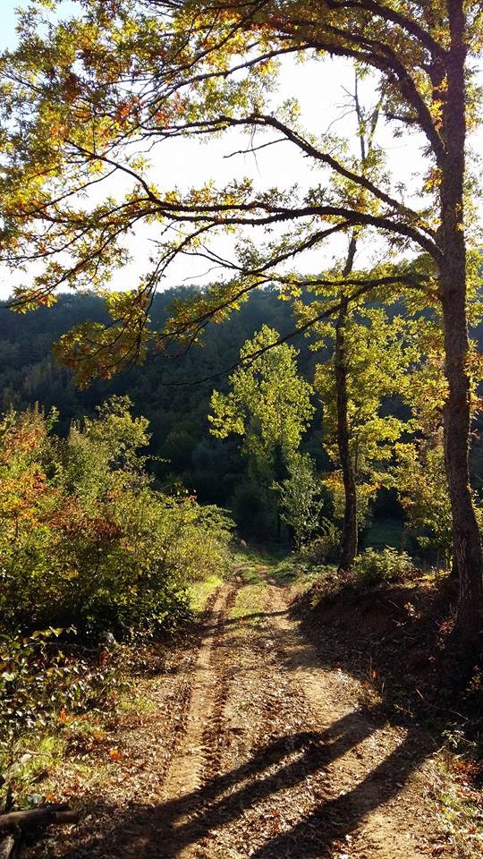 Pamukova Kemaliye Köyü Resimleri 10