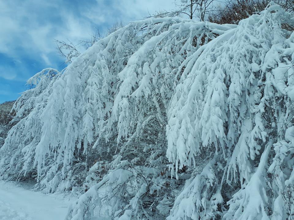 Pamukova Kemaliye Köyü Resimleri 12