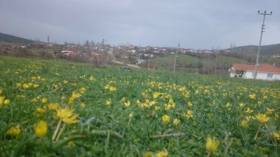 Pamukova Kemaliye Köyü Resimleri 13