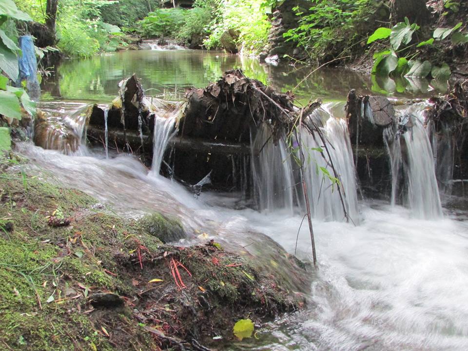 Pamukova Kemaliye Köyü Resimleri 2