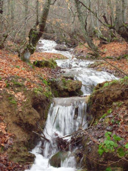 Pamukova Kemaliye Köyü Resimleri 7