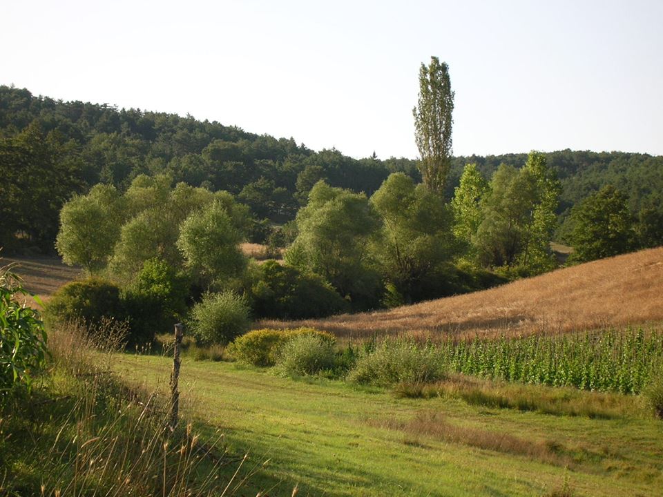 Pamukova Kemaliye Köyü Resimleri 9