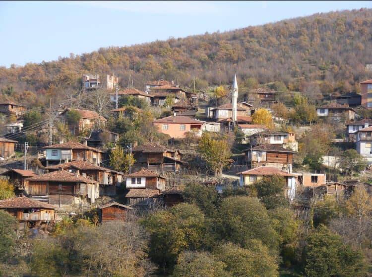 Saraydüzü Çampaşalı Köyü Resimleri 10