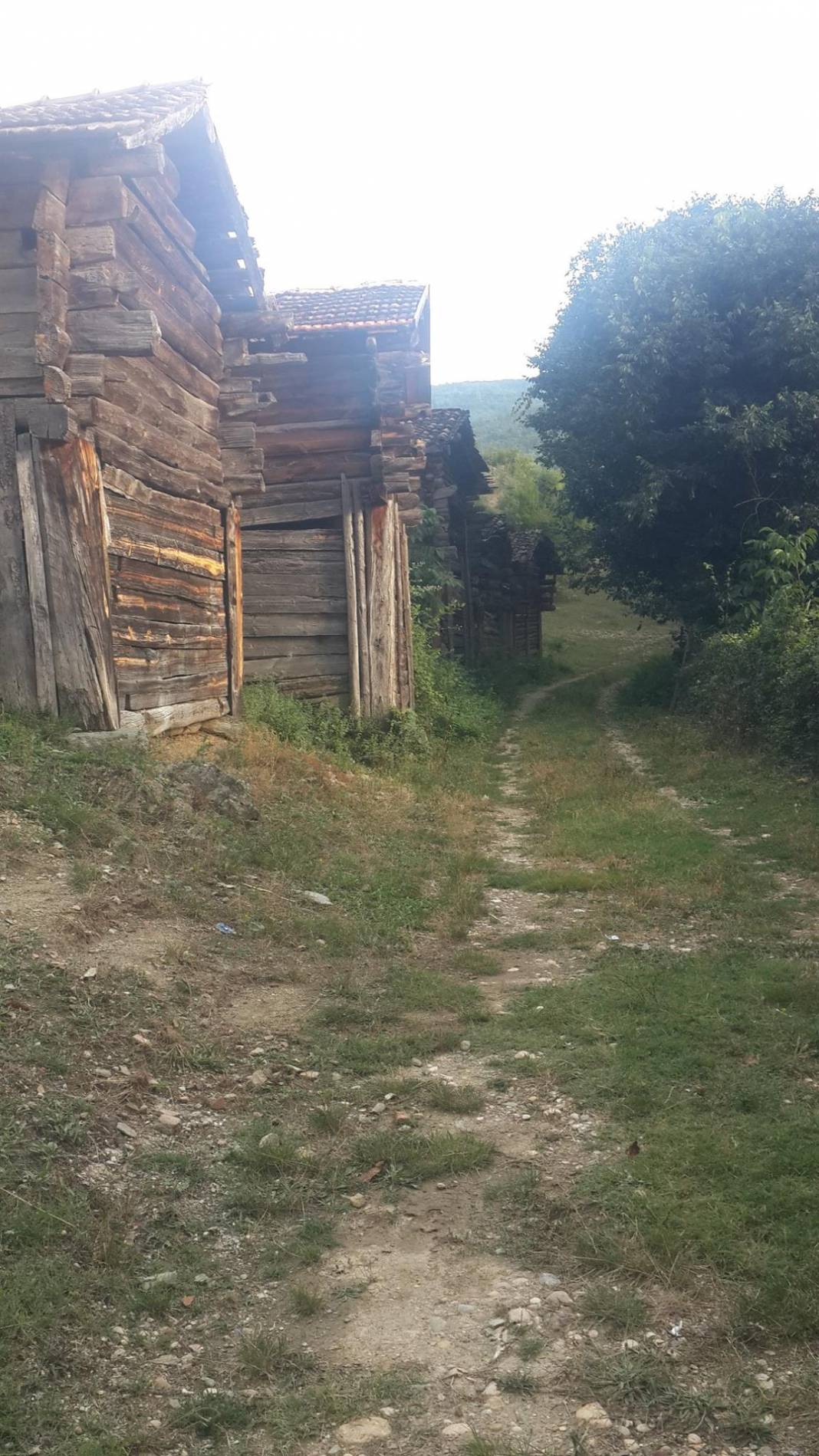 Saraydüzü Çampaşalı Köyü Resimleri 2