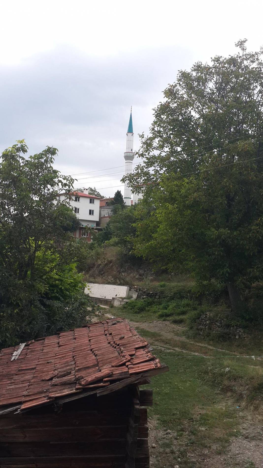 Saraydüzü Çampaşalı Köyü Resimleri 4