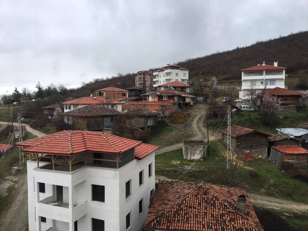 Saraydüzü Çampaşalı Köyü Resimleri 8