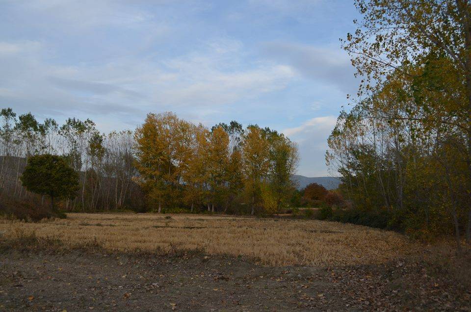 Saraydüzü Çorman Köyü Resimleri 3