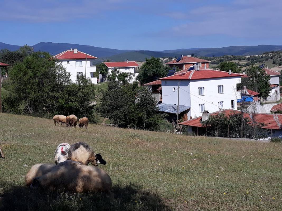 Saraydüzü Hanoğlu Köyü Resimleri 3