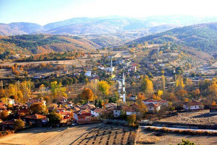 Saraydüzü Hanoğlu Köyü Resimleri 4