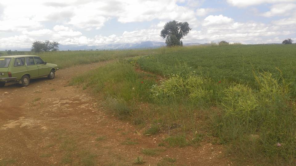 Pamukova Mekece Köyü Resimleri 11