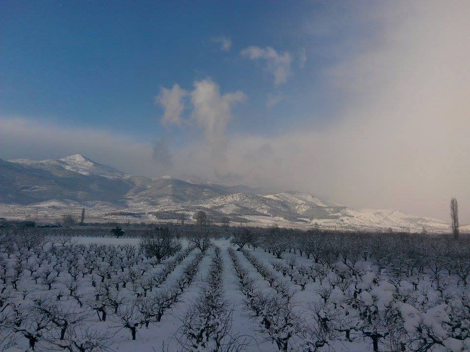 Pamukova Mekece Köyü Resimleri 2