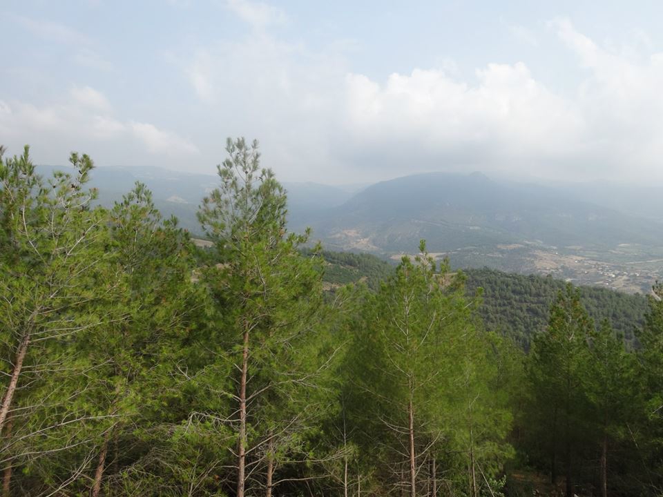 Pamukova Mekece Köyü Resimleri 6