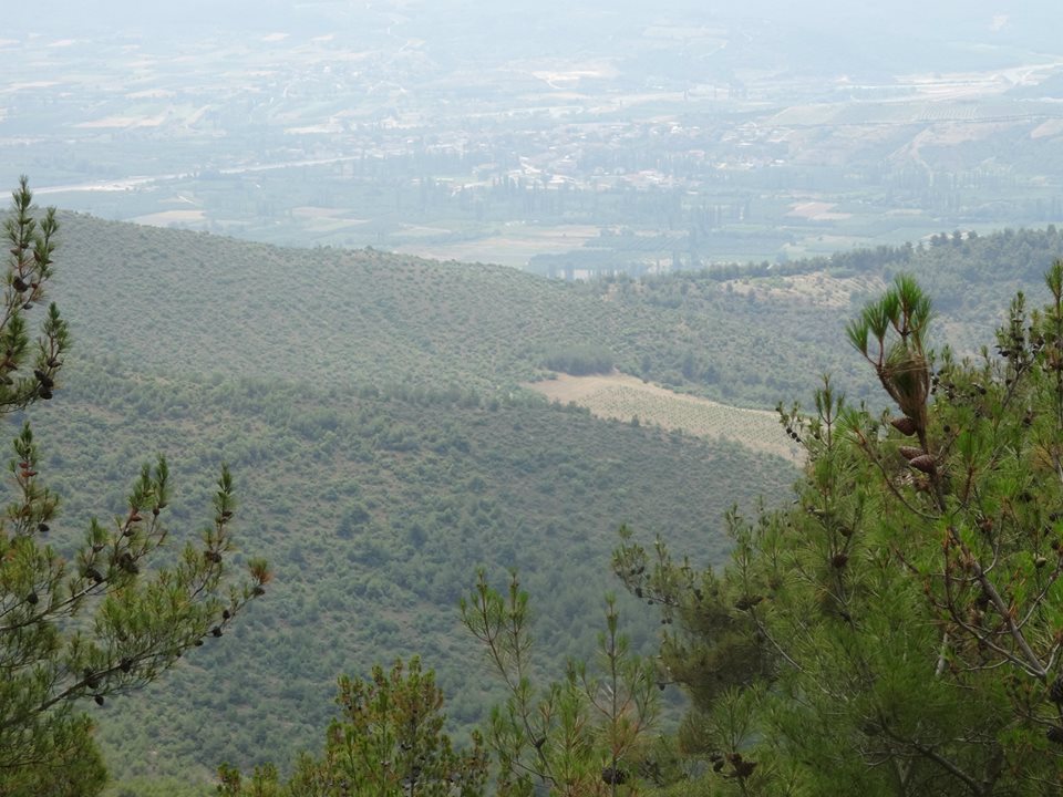Pamukova Mekece Köyü Resimleri 7