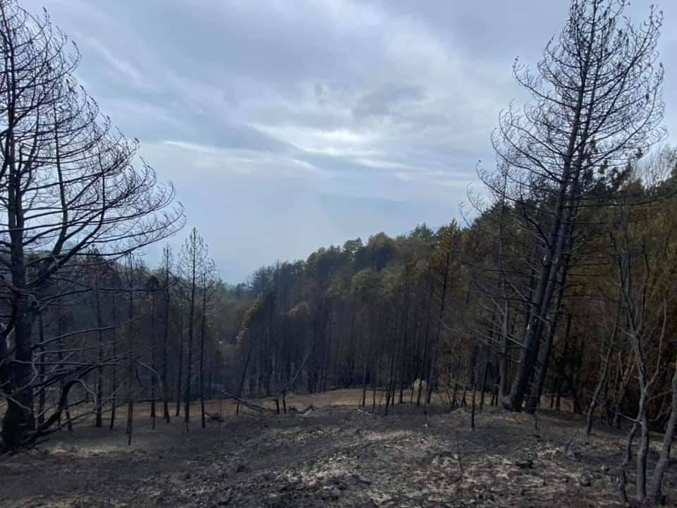 Saraydüzü Yalmansaray Köyü Resimleri 5