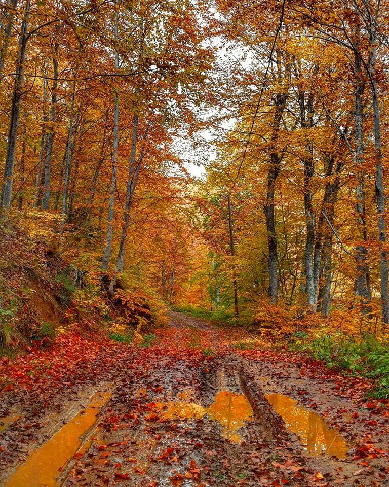 Pamukova Mesruriye Köyü Resimleri 10