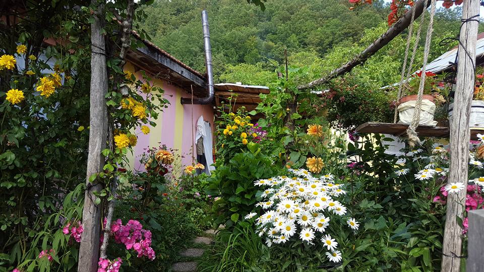 Pamukova Mesruriye Köyü Resimleri 11