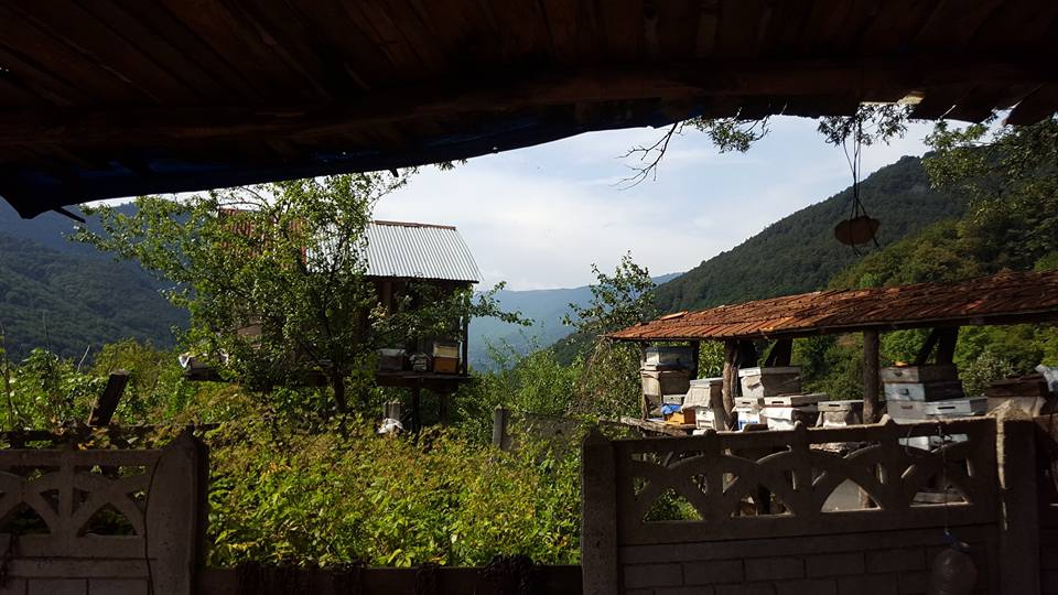 Pamukova Mesruriye Köyü Resimleri 13