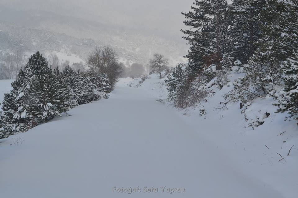 Pamukova Mesruriye Köyü Resimleri 4