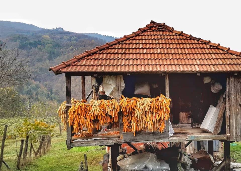 Pamukova Mesruriye Köyü Resimleri 5