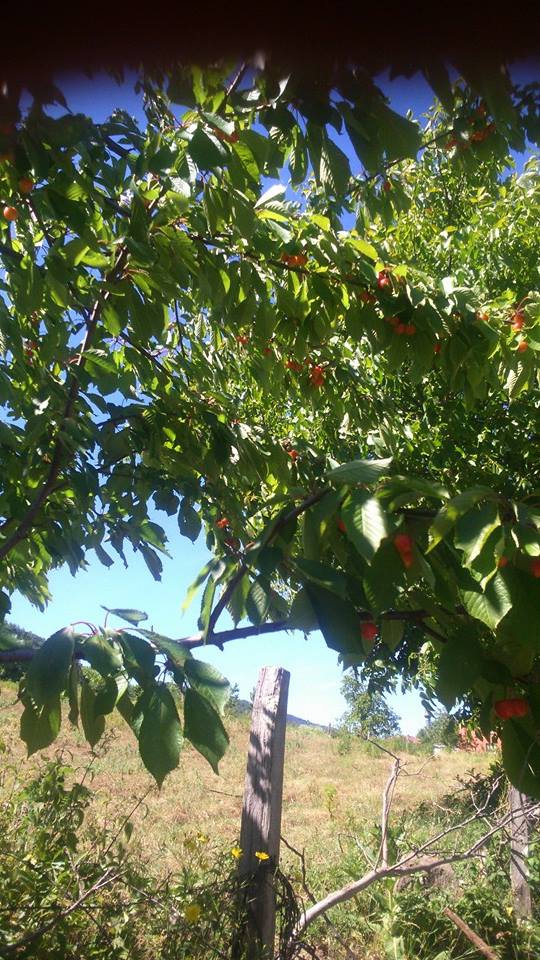 Pamukova Mesruriye Köyü Resimleri 8