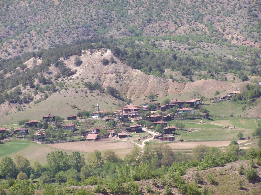 Saraydüzü Yenice Köyü Resimleri 1