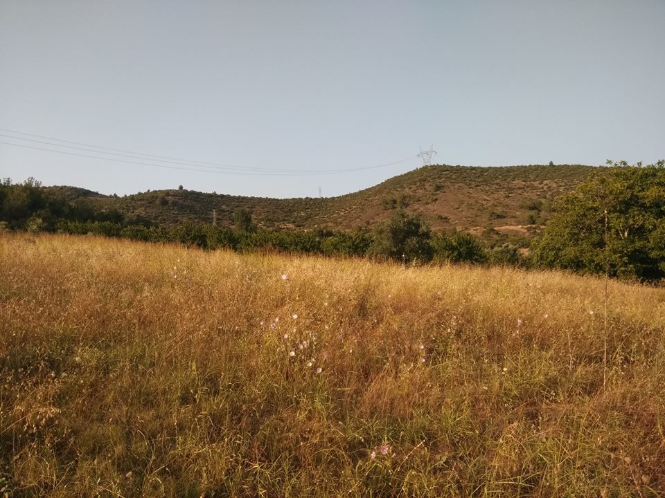 Pamukova Oruçlu Köyü Resimleri 1