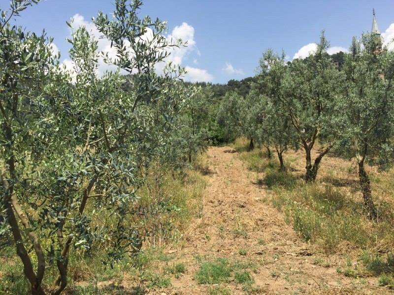Pamukova Oruçlu Köyü Resimleri 3