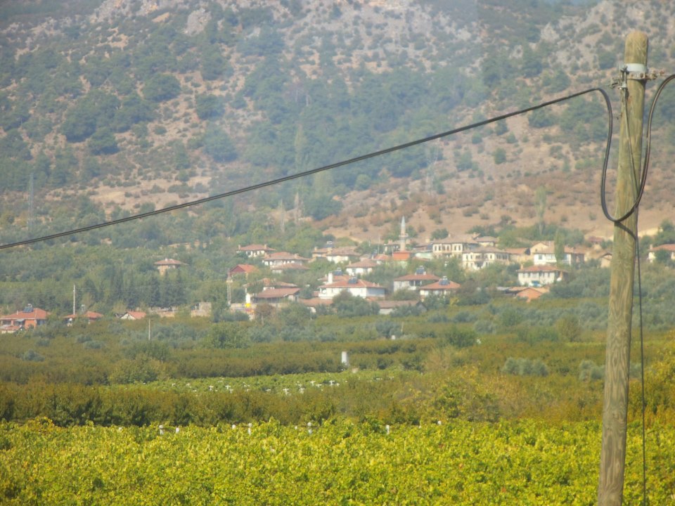 Pamukova Oruçlu Köyü Resimleri 4