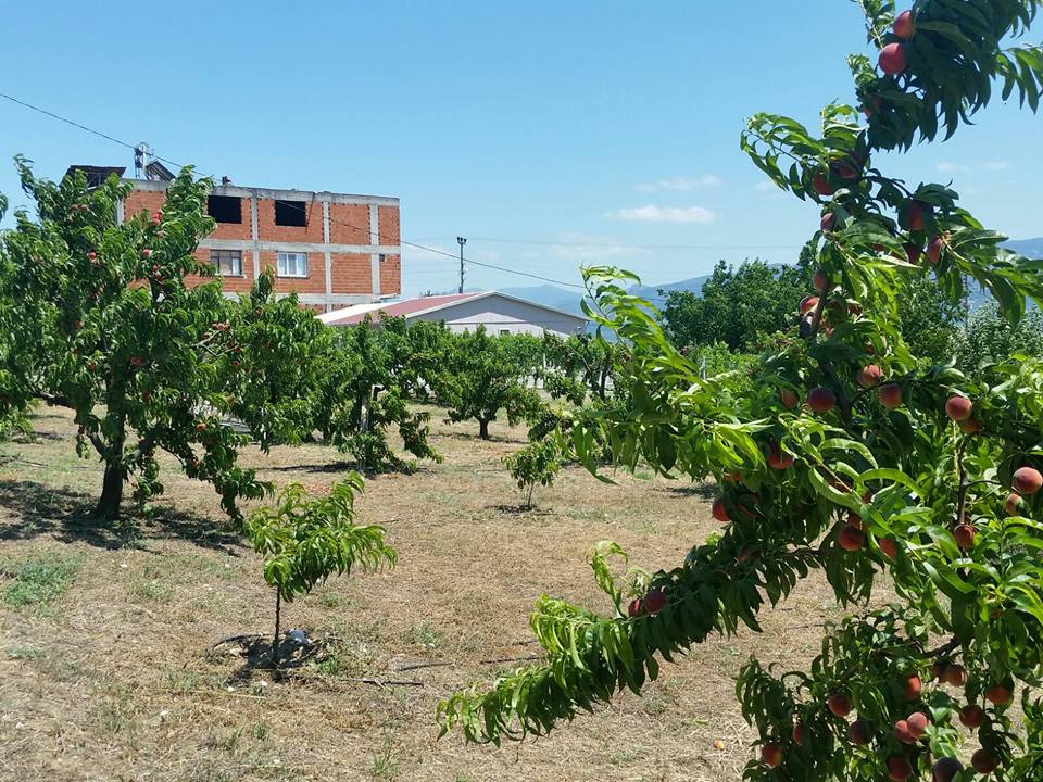 Pamukova Oruçlu Köyü Resimleri 7