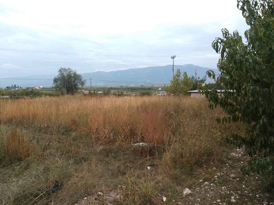 Pamukova Oruçlu Köyü Resimleri 8