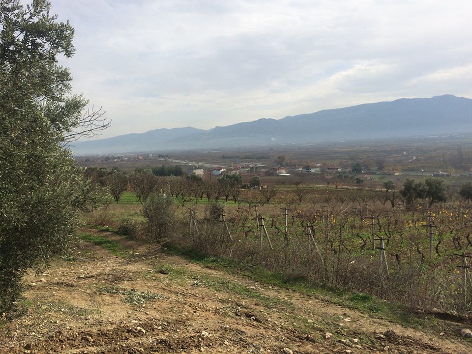 Pamukova Oruçlu Köyü Resimleri 9